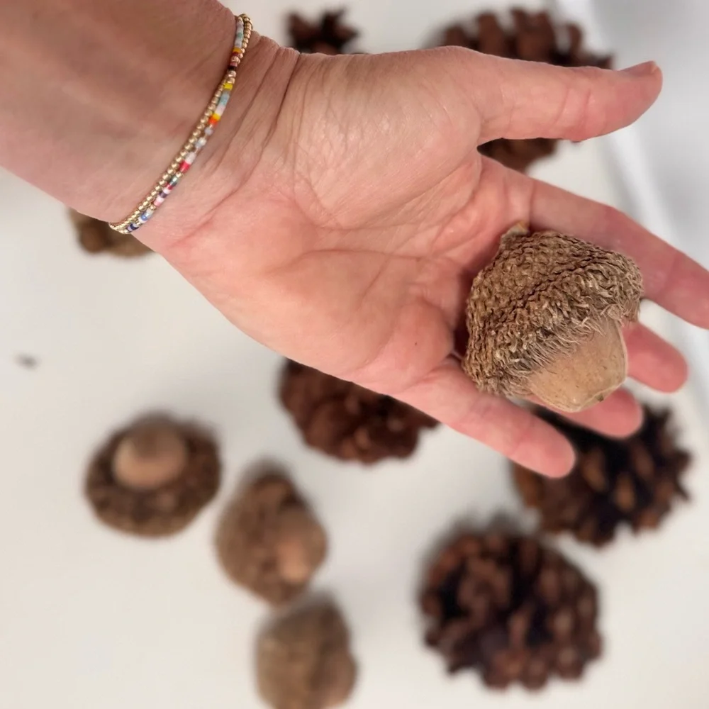 12 Pc. Natural Pinecone & Acorn Set for Rustic Floral Arrangement Wreath Crafts